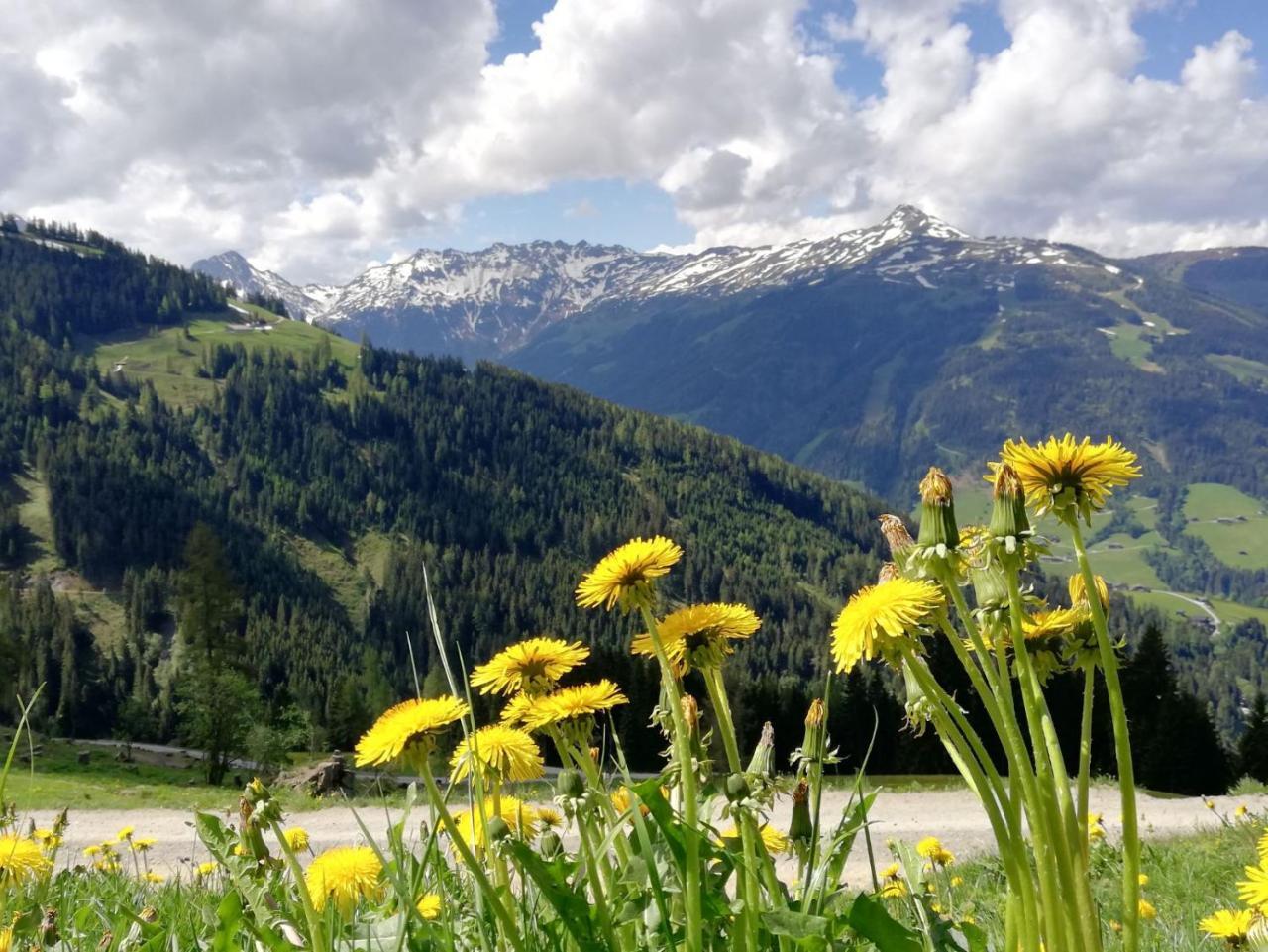 Pension Edelweiss Breitenbach am Inn Exteriör bild